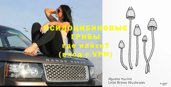 альфа пвп Гусь-Хрустальный