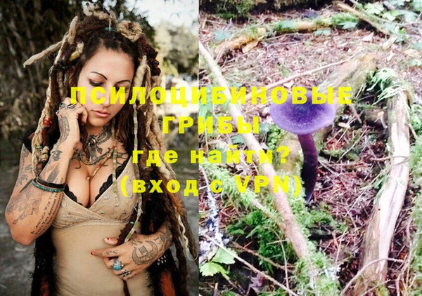 ГАЛЛЮЦИНОГЕННЫЕ ГРИБЫ Горняк