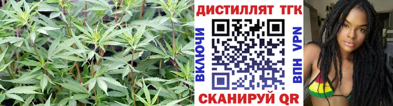 Купить закладки  Арзамас  ТГК вейп 