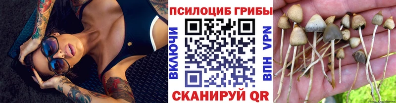 Купить  Арзамас  Псилоцибиновые грибы прущие грибы 